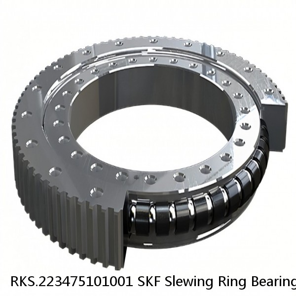 RKS.223475101001 SKF Slewing Ring Bearings