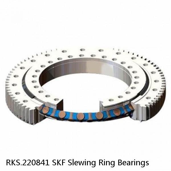 RKS.220841 SKF Slewing Ring Bearings