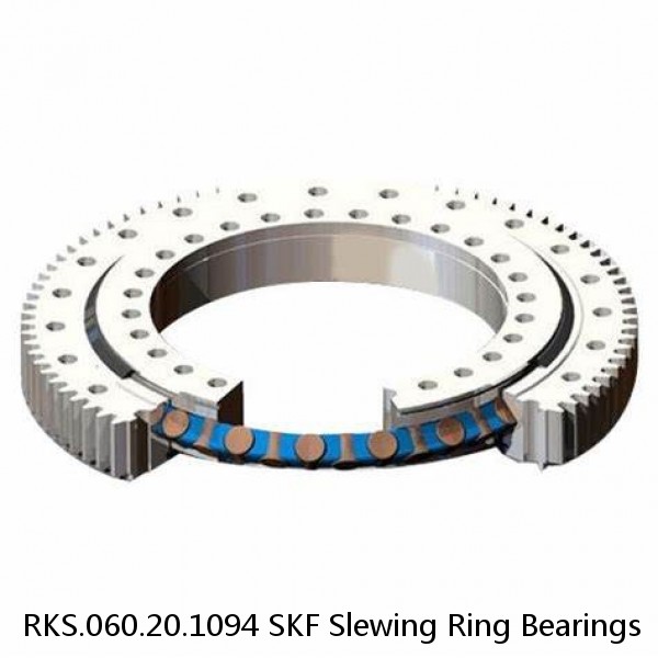 RKS.060.20.1094 SKF Slewing Ring Bearings