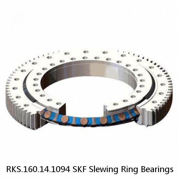 RKS.160.14.1094 SKF Slewing Ring Bearings