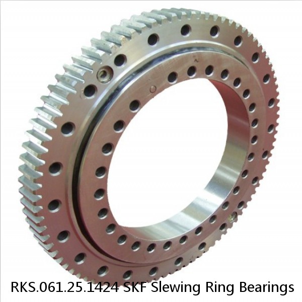 RKS.061.25.1424 SKF Slewing Ring Bearings