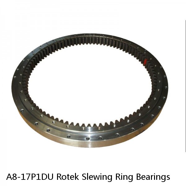 A8-17P1DU Rotek Slewing Ring Bearings