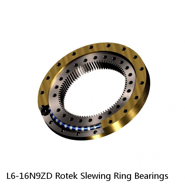 L6-16N9ZD Rotek Slewing Ring Bearings