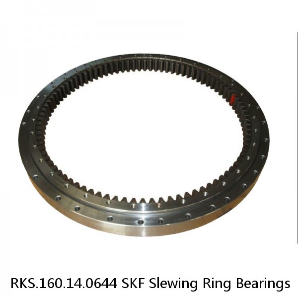 RKS.160.14.0644 SKF Slewing Ring Bearings