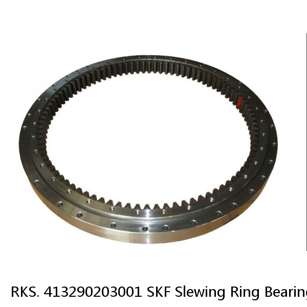 RKS. 413290203001 SKF Slewing Ring Bearings