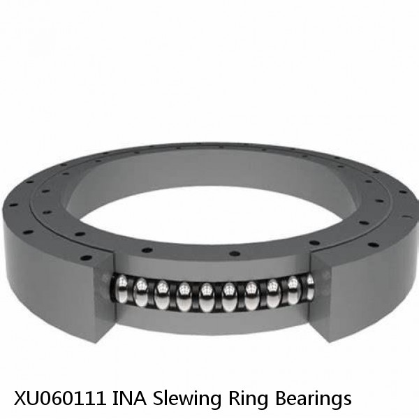 XU060111 INA Slewing Ring Bearings