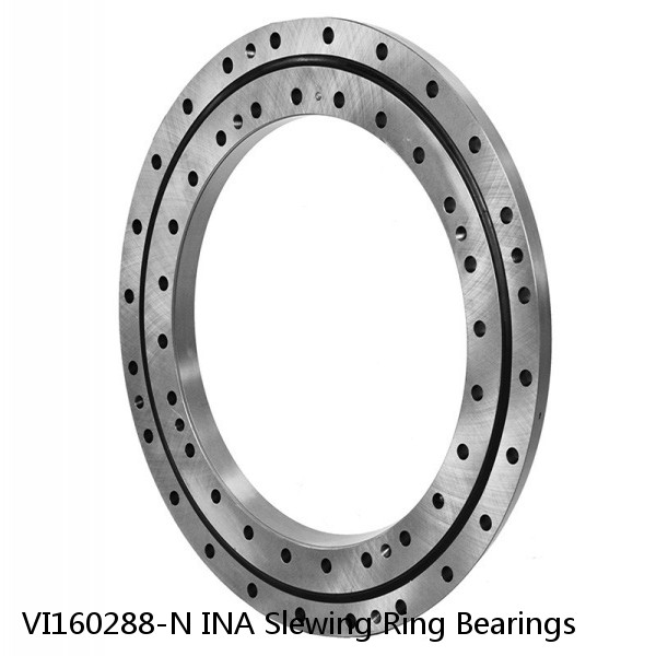 VI160288-N INA Slewing Ring Bearings