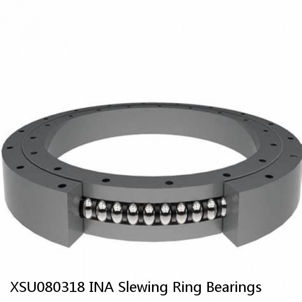 XSU080318 INA Slewing Ring Bearings