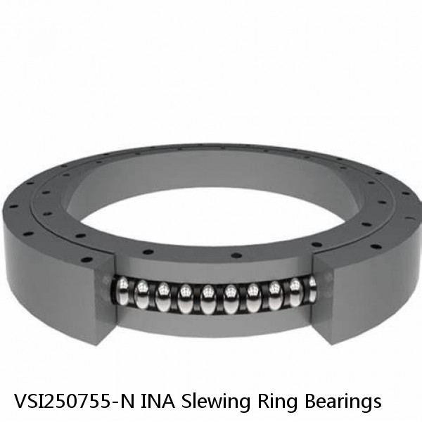 VSI250755-N INA Slewing Ring Bearings