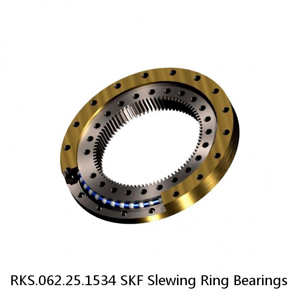 RKS.062.25.1534 SKF Slewing Ring Bearings