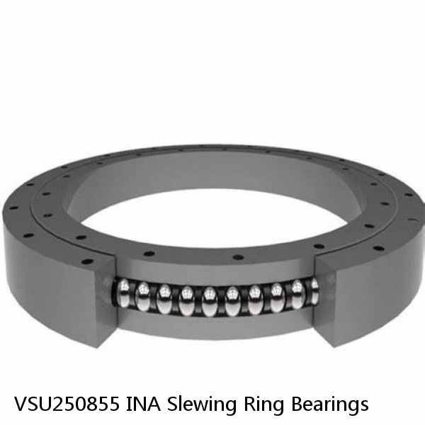 VSU250855 INA Slewing Ring Bearings