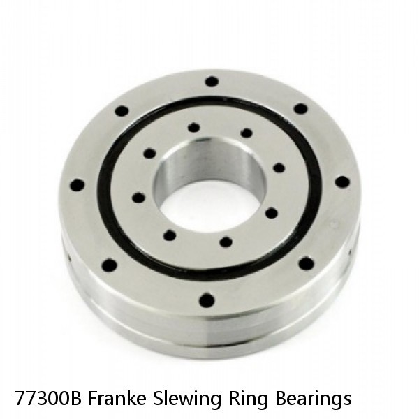 77300B Franke Slewing Ring Bearings