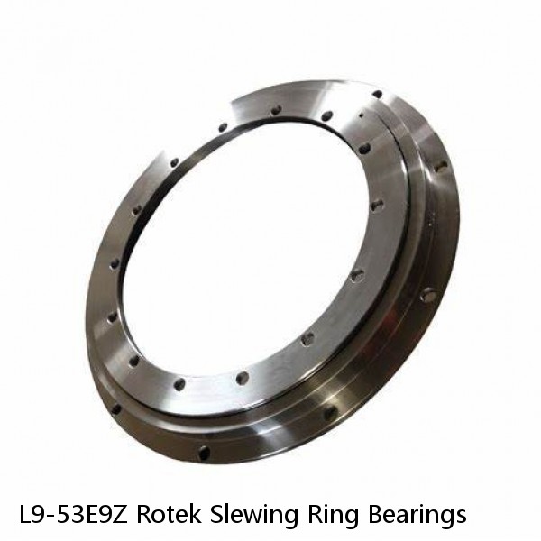 L9-53E9Z Rotek Slewing Ring Bearings