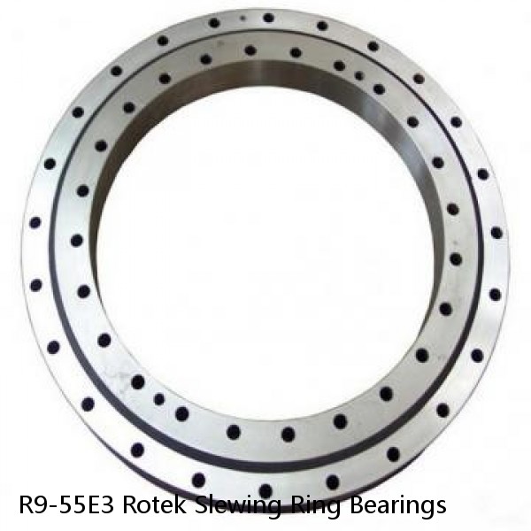 R9-55E3 Rotek Slewing Ring Bearings