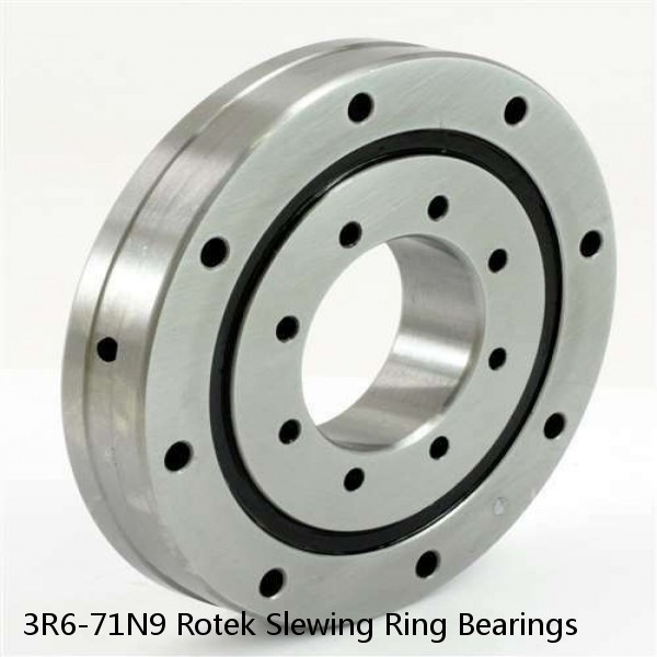 3R6-71N9 Rotek Slewing Ring Bearings