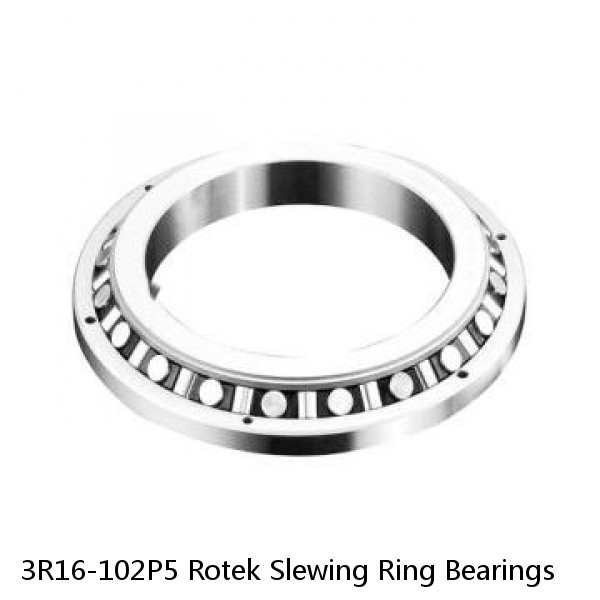 3R16-102P5 Rotek Slewing Ring Bearings