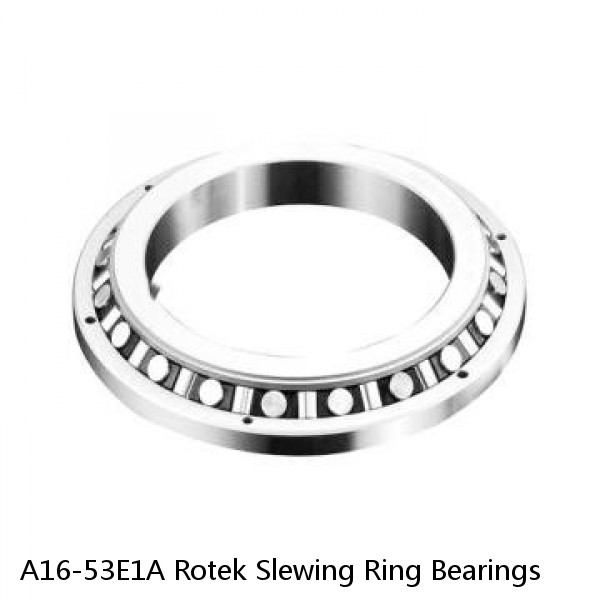 A16-53E1A Rotek Slewing Ring Bearings