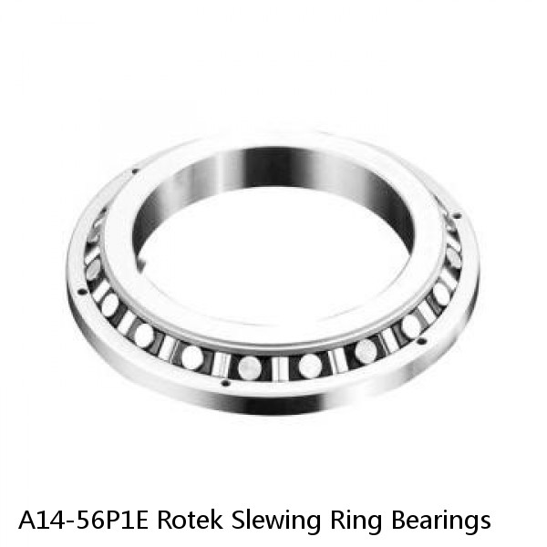 A14-56P1E Rotek Slewing Ring Bearings