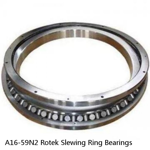 A16-59N2 Rotek Slewing Ring Bearings