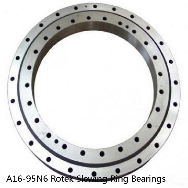 A16-95N6 Rotek Slewing Ring Bearings