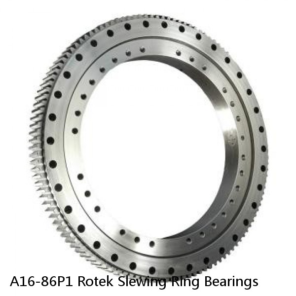 A16-86P1 Rotek Slewing Ring Bearings