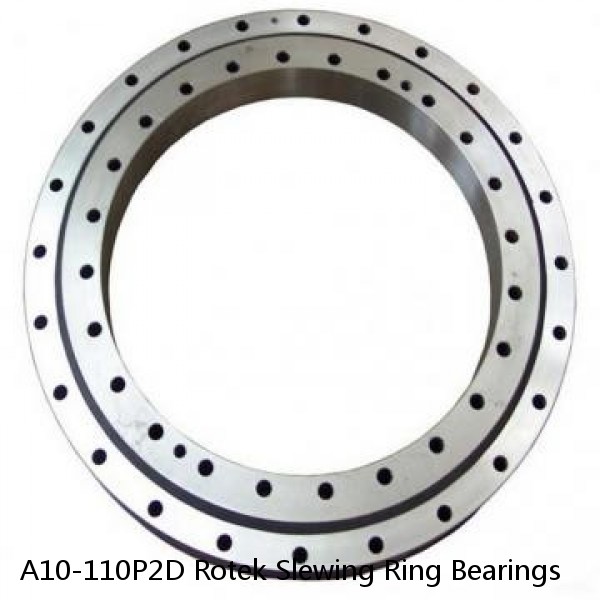 A10-110P2D Rotek Slewing Ring Bearings