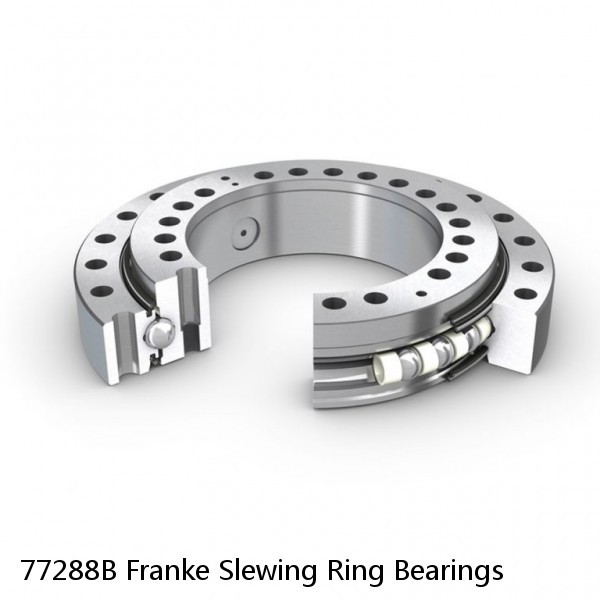 77288B Franke Slewing Ring Bearings