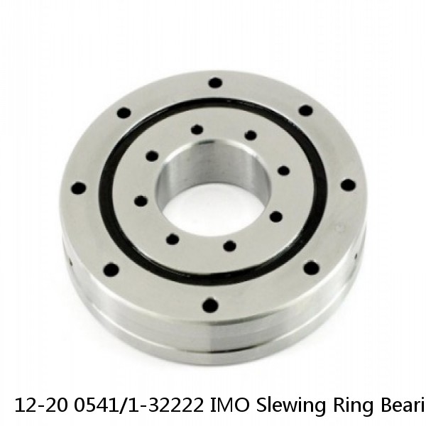 12-20 0541/1-32222 IMO Slewing Ring Bearings