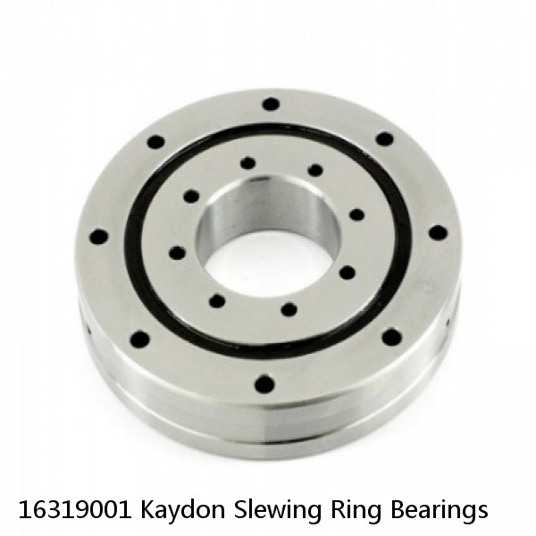 16319001 Kaydon Slewing Ring Bearings