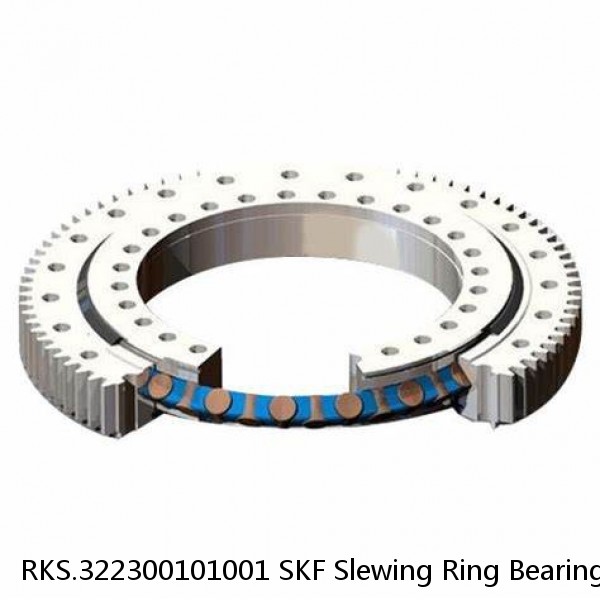 RKS.322300101001 SKF Slewing Ring Bearings