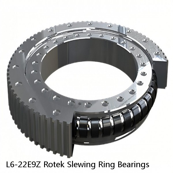 L6-22E9Z Rotek Slewing Ring Bearings