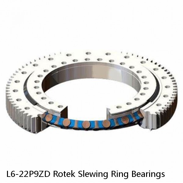 L6-22P9ZD Rotek Slewing Ring Bearings