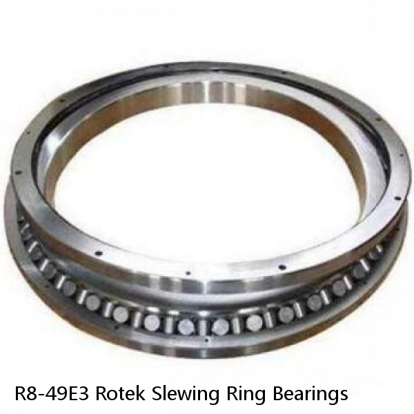 R8-49E3 Rotek Slewing Ring Bearings