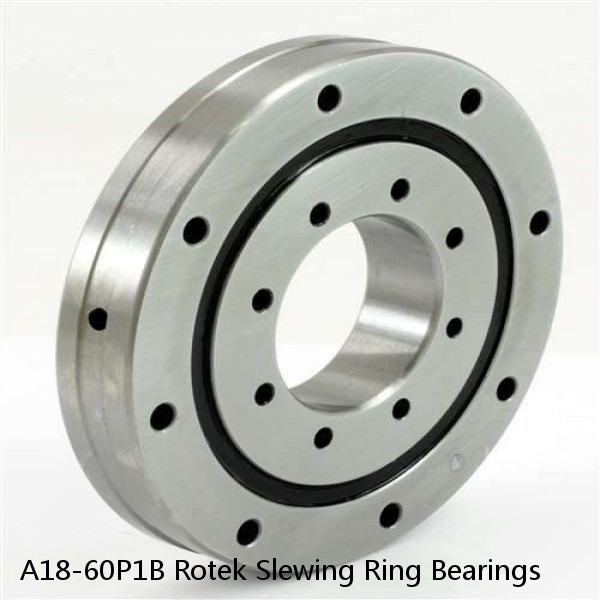 A18-60P1B Rotek Slewing Ring Bearings