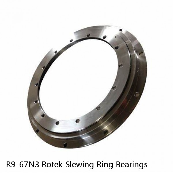 R9-67N3 Rotek Slewing Ring Bearings