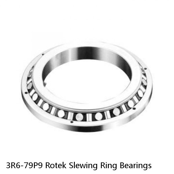 3R6-79P9 Rotek Slewing Ring Bearings