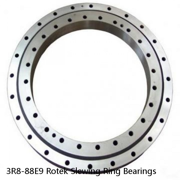 3R8-88E9 Rotek Slewing Ring Bearings