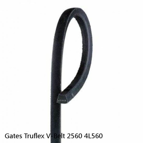 Gates Truflex V-Belt 2560 4L560