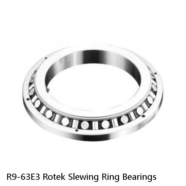 R9-63E3 Rotek Slewing Ring Bearings